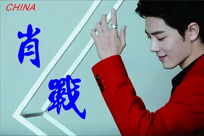 Chinese actor Xiao Zhan jigsaw puzzle