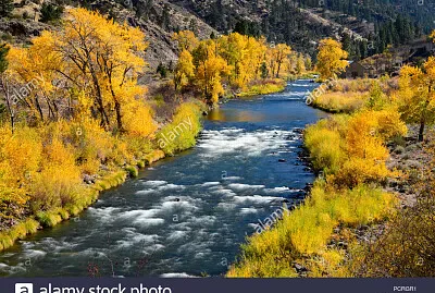 פאזל של imagem