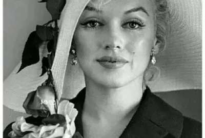 פאזל של nice face