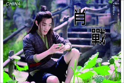 Chinese actor Xiao Zhan jigsaw puzzle