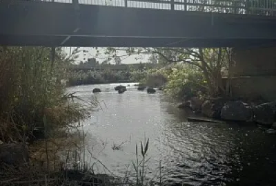 jorden river jigsaw puzzle