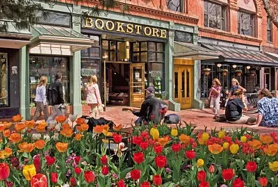 פאזל של bookstore