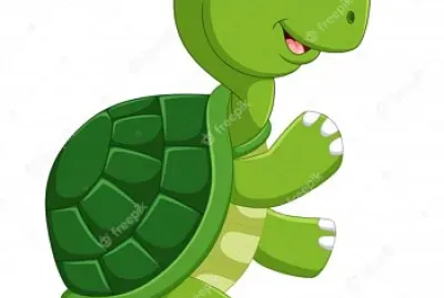 Tortuga jigsaw puzzle