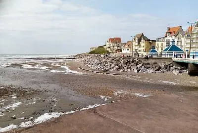 פאזל של NATUREZA