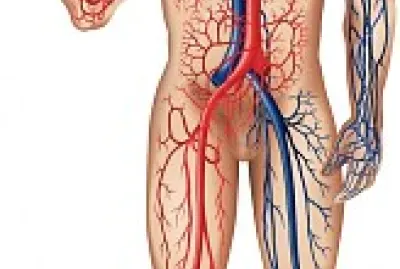 פאזל של CICULATORIO