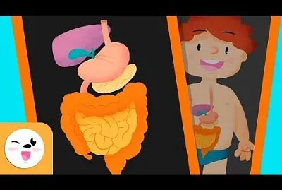 פאזל של digest