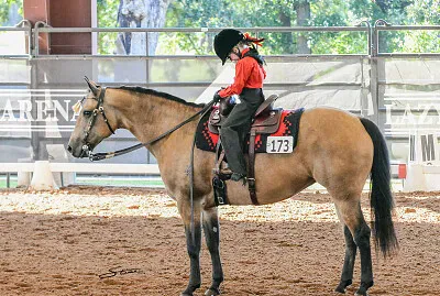2018 Western Dressage World Championship Show