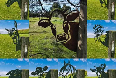 animal