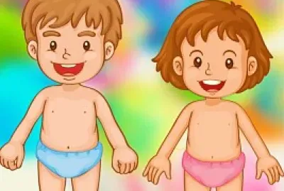 Partes del cuerpo humano