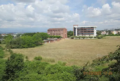 Mi panorama