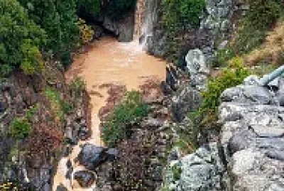 saar by shokat momzer