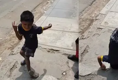 para potaxies
