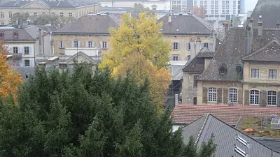 Arbre aux milles écus