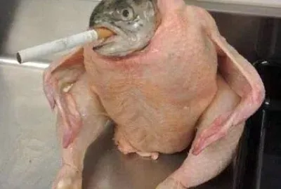 pollo