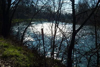 chiaroscuro dell 'oglio