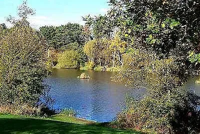 Osborne 's Pond Shipley