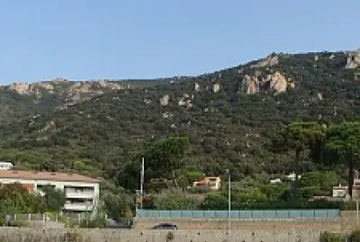 פאזל של doigts de pieds en éventail