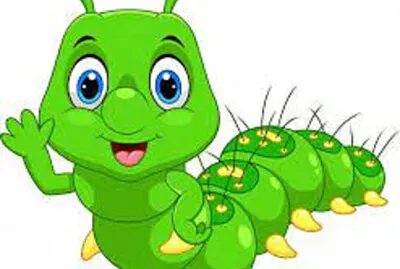 Gusano jigsaw puzzle