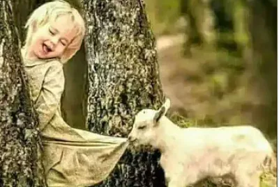 giochi jigsaw puzzle