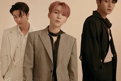 Seventeen Your choice