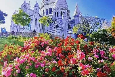 פאזל של imagem