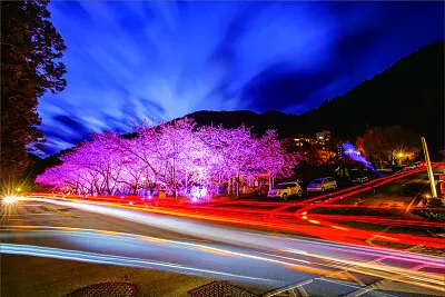 風景 jigsaw puzzle