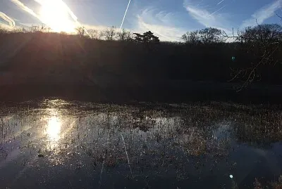 Etang Hauts de Seine