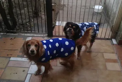 Cocky y Rocco abrigaditos