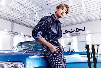 Wonwoo W Korea jigsaw puzzle