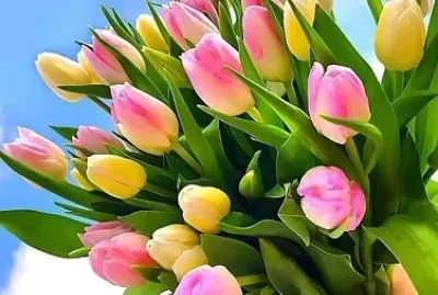 פאזל של imagem