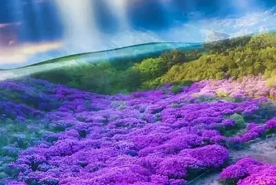 imagem jigsaw puzzle