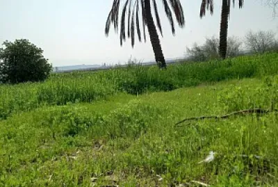 gesher