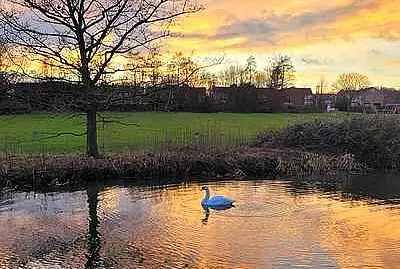 Sunset on the Erewash Canal