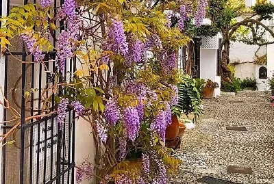 פאזל של Marbella