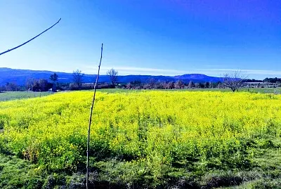 NATURALEZA