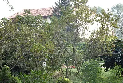 davanti alla cascina