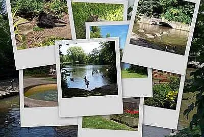 Markeaton Collage jigsaw puzzle