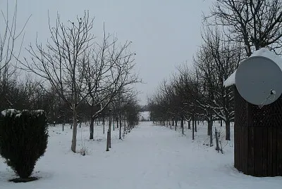 IARNA