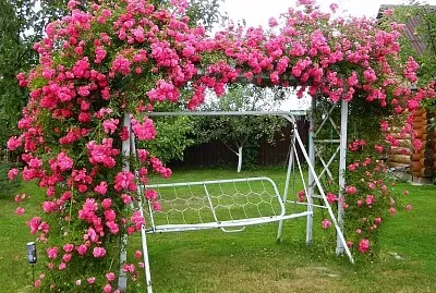 פאזל של imagem