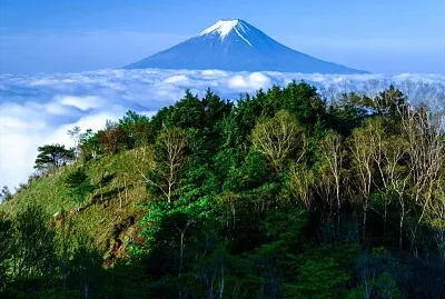 imagem jigsaw puzzle