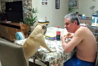 Jantando com meu avô