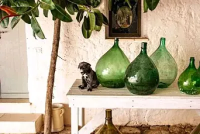 פאזל של botellas