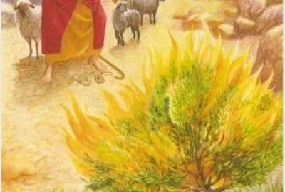 פאזל של موسى