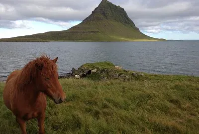 פאזל של Islande