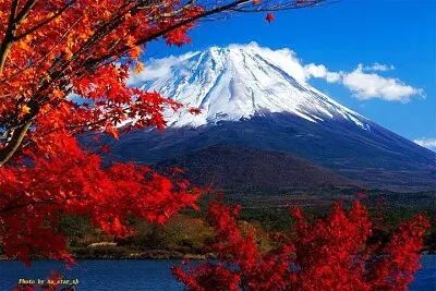 imagem jigsaw puzzle