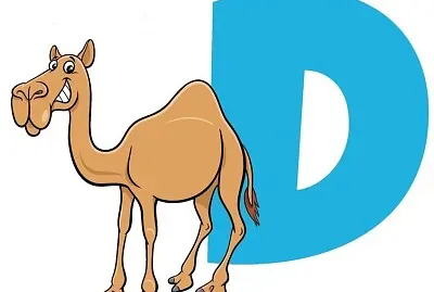 פאזל של LETRA D