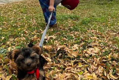 פאזל של MATHY Y ROBIN