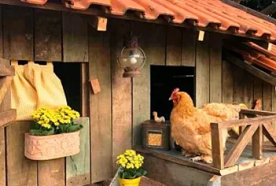 animales jigsaw puzzle