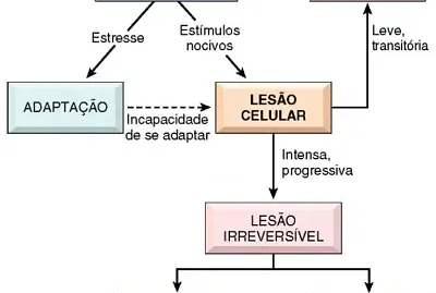 פאזל של resumo