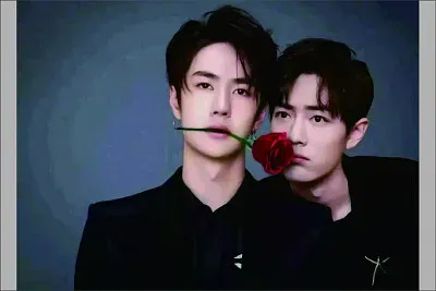 Chinese actor Xiao Zhan / Wang Yibo jigsaw puzzle